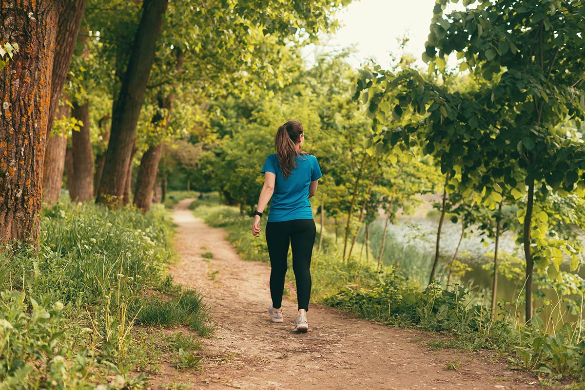 walking in forest